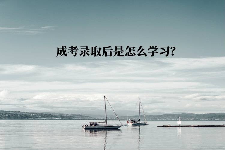 成考錄取后是怎么學(xué)習(xí)？