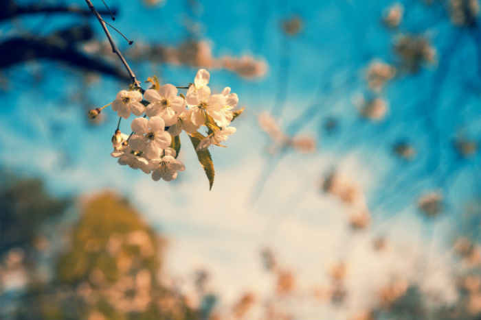 視覺(jué)傳達(dá)設(shè)計(jì)專升本報(bào)名到畢業(yè)學(xué)費(fèi)要多少錢？
