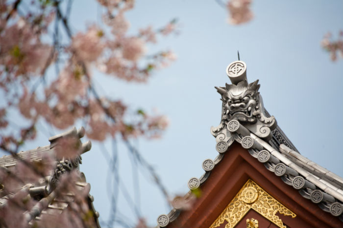 平頂山提升學(xué)歷方式哪種好？學(xué)歷提升招生學(xué)校有多少？