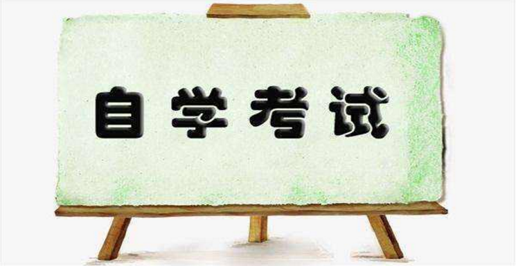 自考如何高效背書？有什么經(jīng)驗(yàn)技巧嗎？