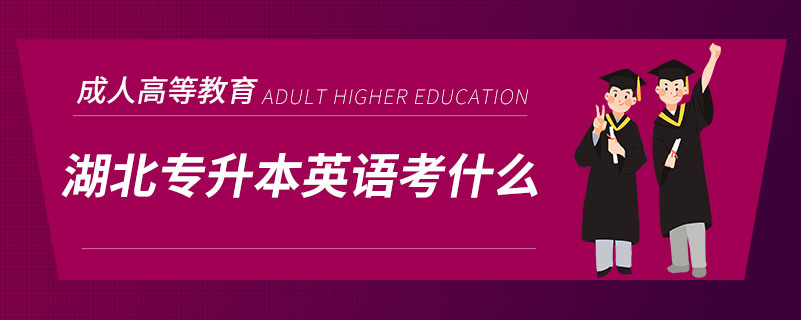 湖北專升本英語(yǔ)考什么