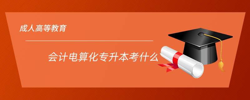 會計(jì)電算化專升本考什么