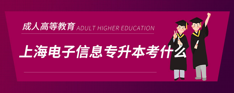 上海電子信息專(zhuān)升本考什么