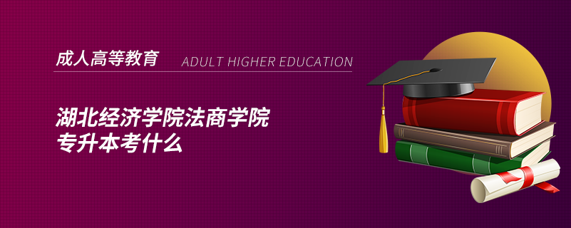 湖北經(jīng)濟學院法商學院專升本考什么