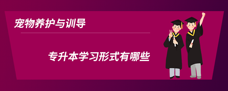 寵物養(yǎng)護與訓(xùn)導(dǎo)專升本學(xué)習(xí)形式有哪些