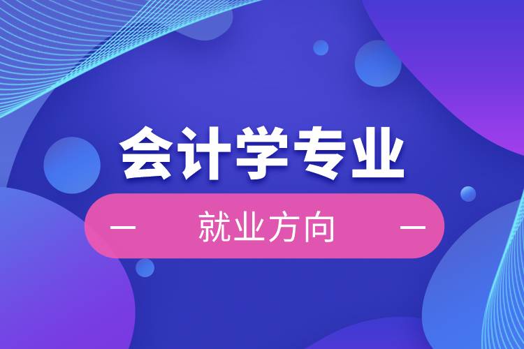 會(huì)計(jì)學(xué)專(zhuān)業(yè)就業(yè)方向