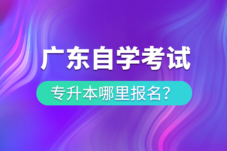 廣東自學(xué)考試專升本哪里報名