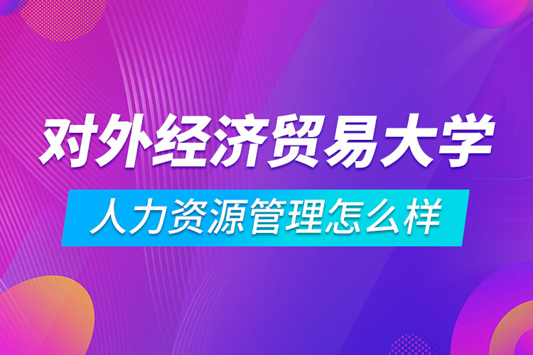 對外經(jīng)濟(jì)貿(mào)易大學(xué)人力資源管理專業(yè)怎么樣