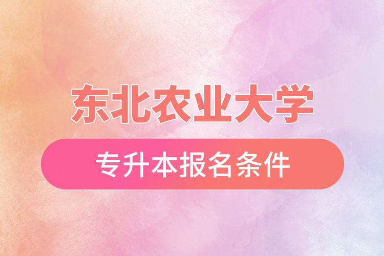 東北農(nóng)業(yè)大學(xué)專升本報名條件？