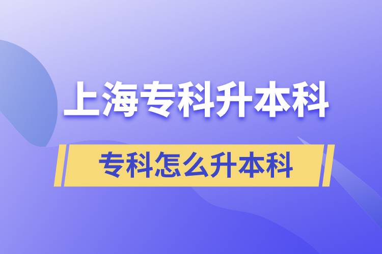 上海?？圃趺瓷究? /></p><p style=