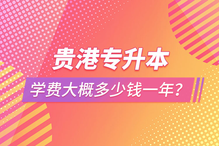 貴港專升本學(xué)費(fèi)大概多少錢一年？