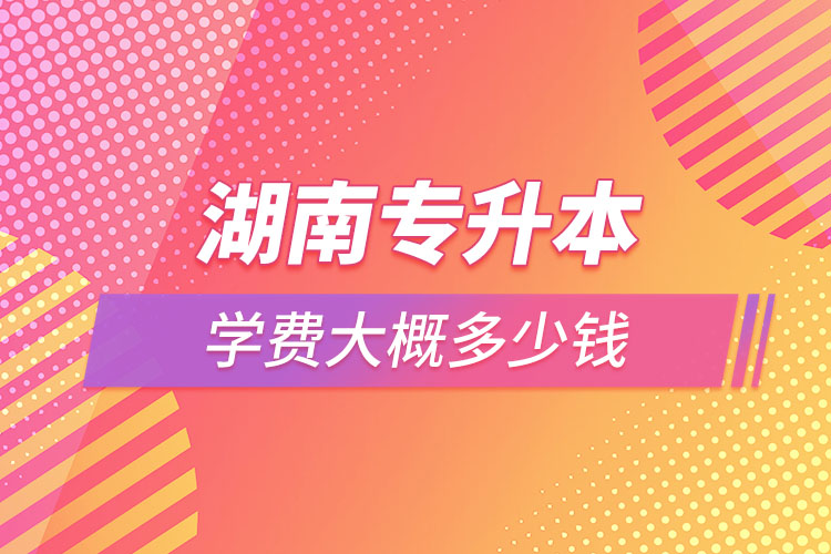 湖南專升本學(xué)費(fèi)大概多少錢一年？