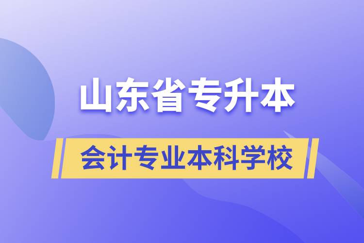 山東省專(zhuān)升本會(huì)計(jì)專(zhuān)業(yè)本科學(xué)校