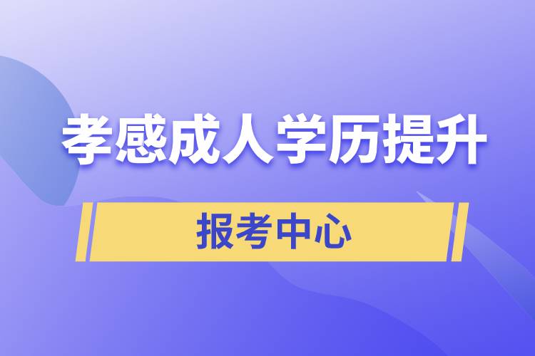孝感有成人學(xué)歷提升報考中心嗎