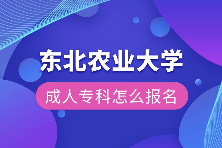 東北農(nóng)業(yè)大學(xué)成人?？圃趺磮?bào)名