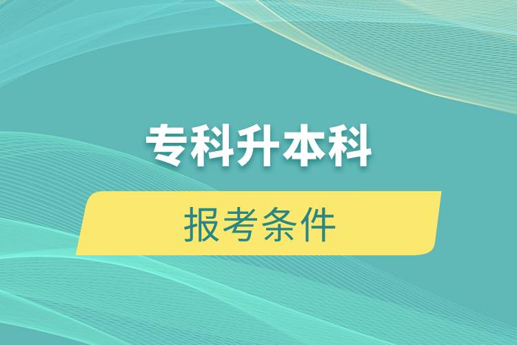 ?？粕究茍?bào)考條件