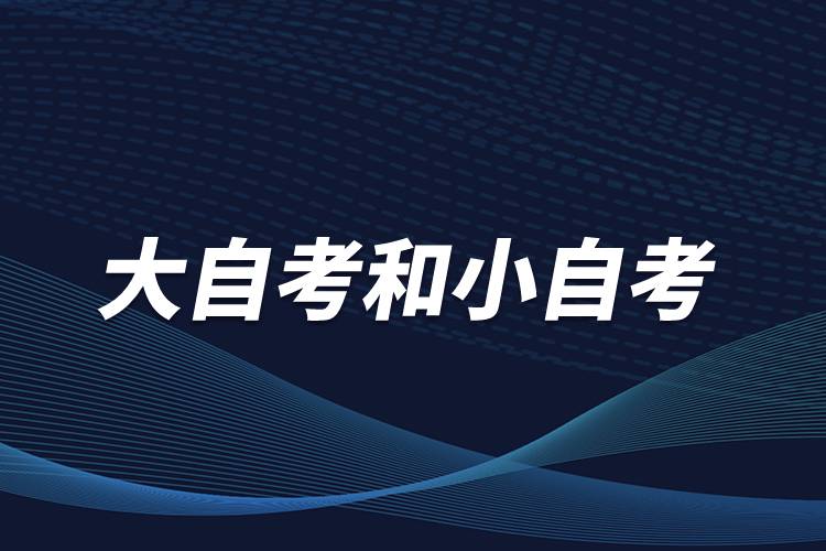 大自考和小自考是什么意思？有什么區(qū)別？