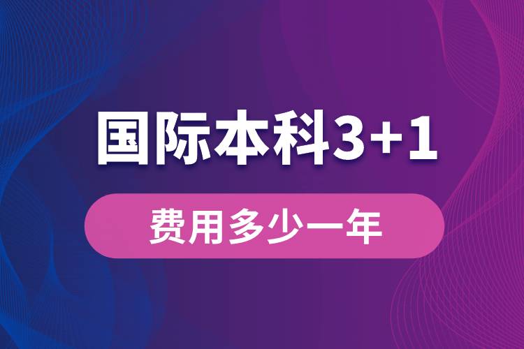 國際本科3+1費用多少一年