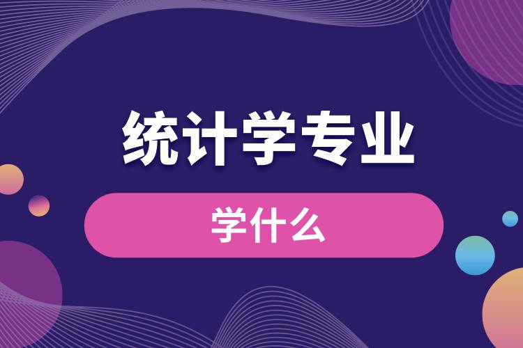 統(tǒng)計(jì)學(xué)專(zhuān)業(yè)學(xué)什么