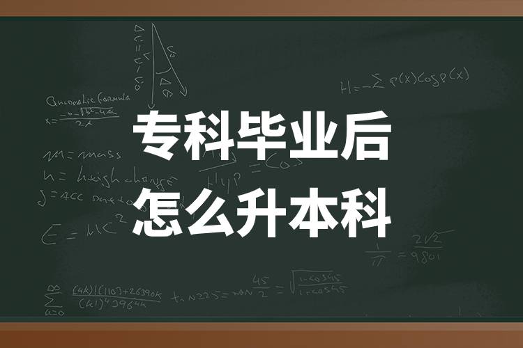 ?？飘厴I(yè)后怎么升本科.jpg