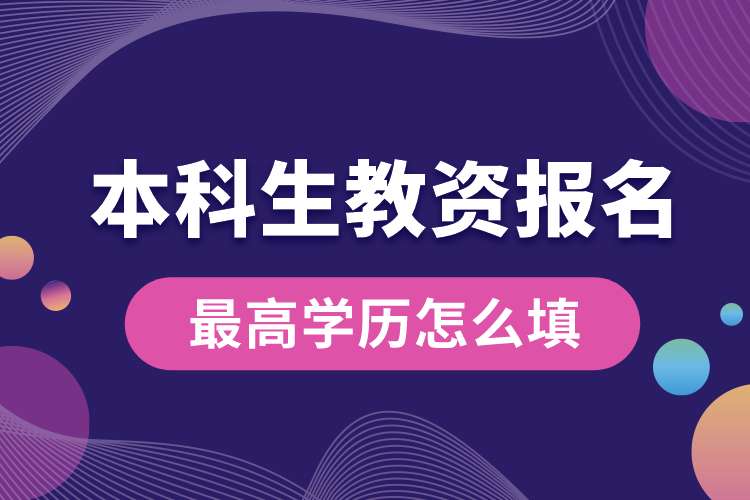 本科生教資報名最高學歷怎么填.jpg