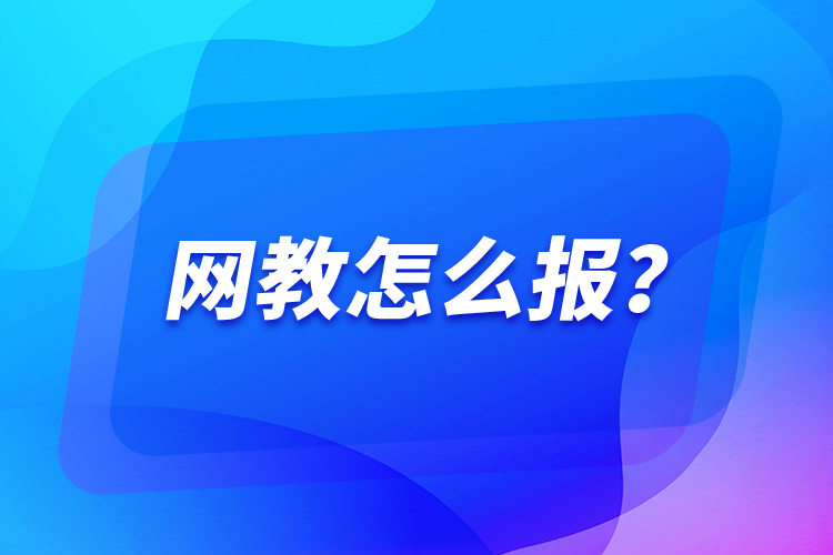 網(wǎng)教怎么報(bào)？