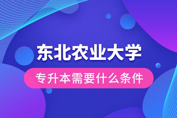 東北農(nóng)業(yè)大學(xué)專升本需要什么條件？