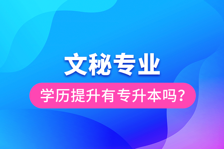 文秘專(zhuān)業(yè)學(xué)歷提升有專(zhuān)升本嗎？