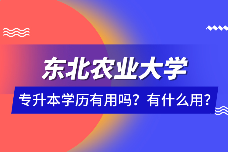 東北農(nóng)業(yè)大學(xué)專升本學(xué)歷有用嗎？有什么用？