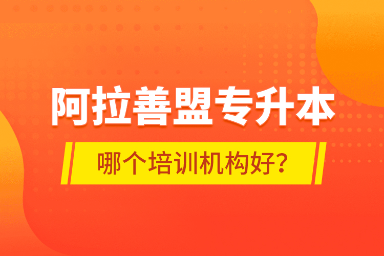 阿拉善盟專升本哪個培訓(xùn)機構(gòu)好？