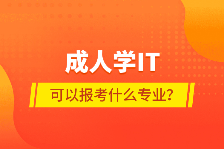 成人學(xué)IT可以報考什么專業(yè)？
