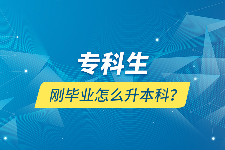 專(zhuān)科生剛畢業(yè)怎么升本科？