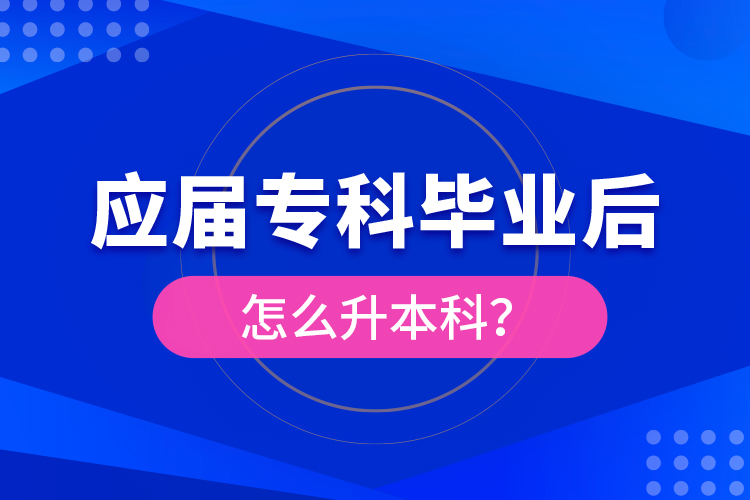 應(yīng)屆?？飘厴I(yè)后怎么升本科？