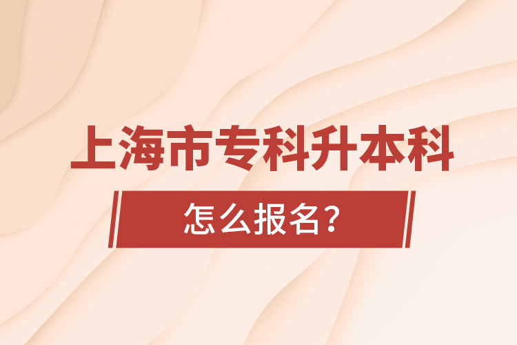 上海市?？粕究圃趺磮?bào)名？
