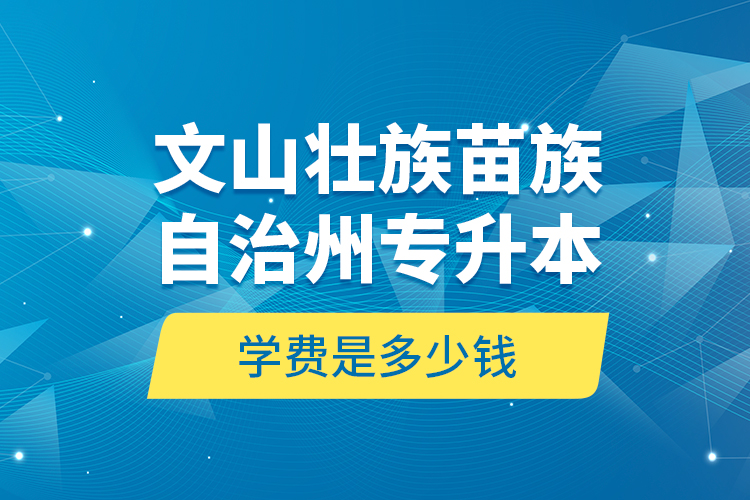 文山壯族苗族自治州專升本學費是多少錢？
