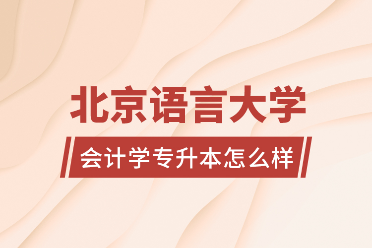 北京語言大學會計學專升本怎么樣？