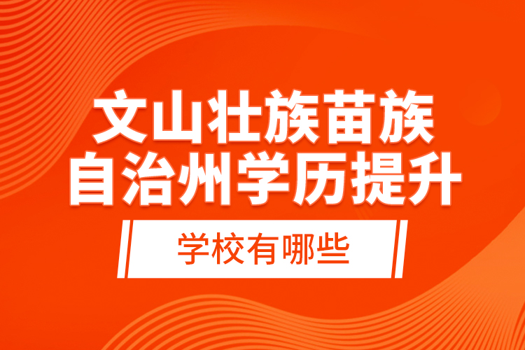 文山壯族苗族自治州學(xué)歷提升學(xué)校有哪些？