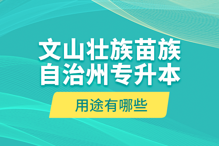 文山壯族苗族自治州專升本的用途有哪些？