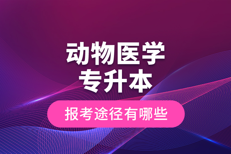動(dòng)物醫(yī)學(xué)專升本的報(bào)考途徑有哪些？