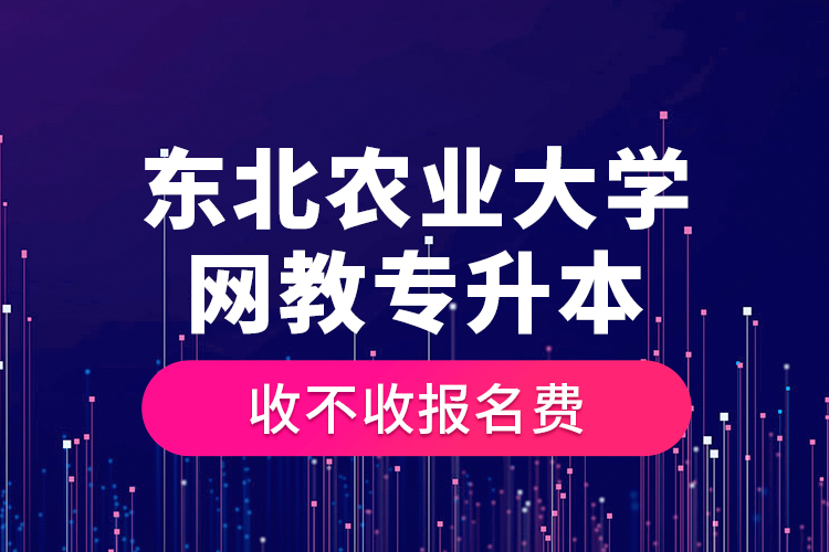 東北農(nóng)業(yè)大學網(wǎng)教專升本收不收報名費？