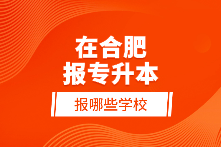 在合肥報(bào)專升本報(bào)哪些學(xué)校？