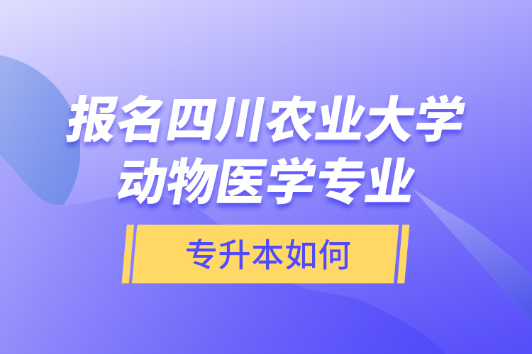 報名四川農(nóng)業(yè)大學(xué)動物醫(yī)學(xué)專業(yè)專升本如何？
