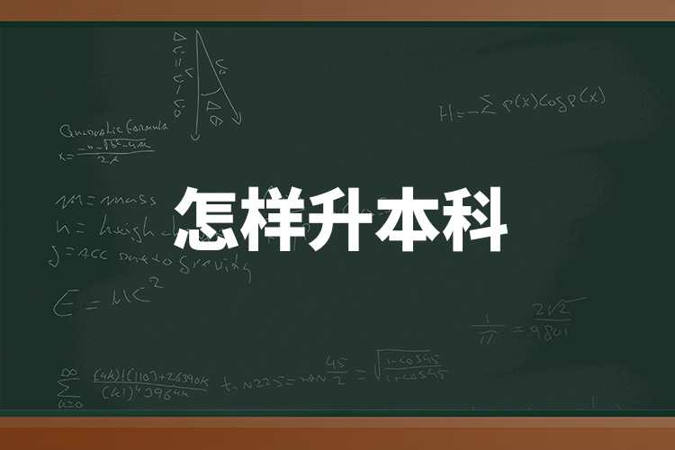 怎樣升本科？